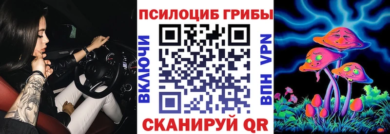 Псилоцибиновые грибы GOLDEN TEACHER  Купить  Купино 